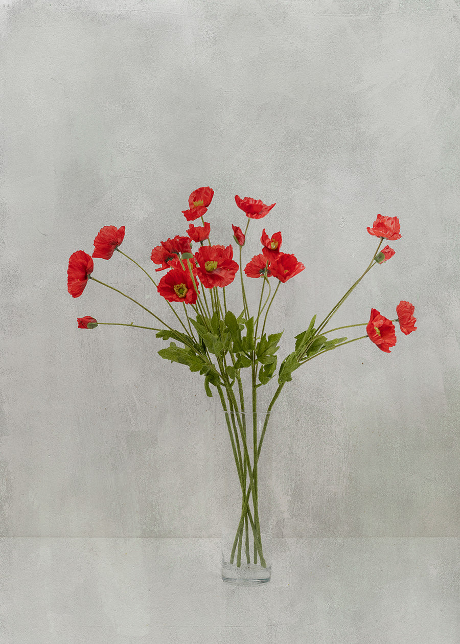 Red Flowers - Nuala Print